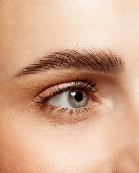Brow Lamination Course