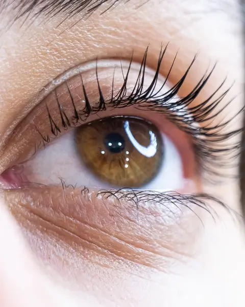 Lash Lift & Perfect Brows Course
