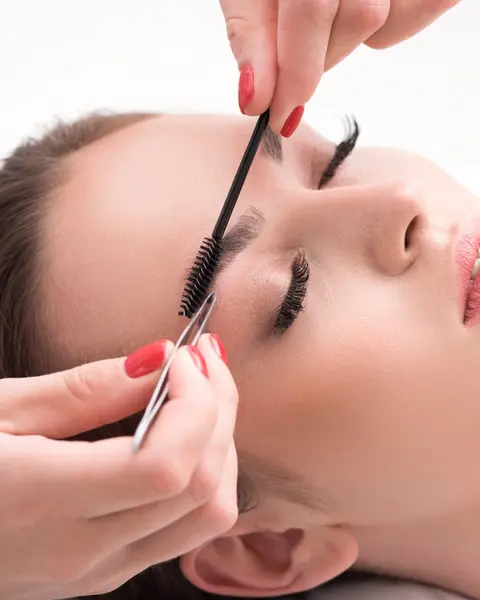 Eyelash & Eyebrow Tint and Shape Course